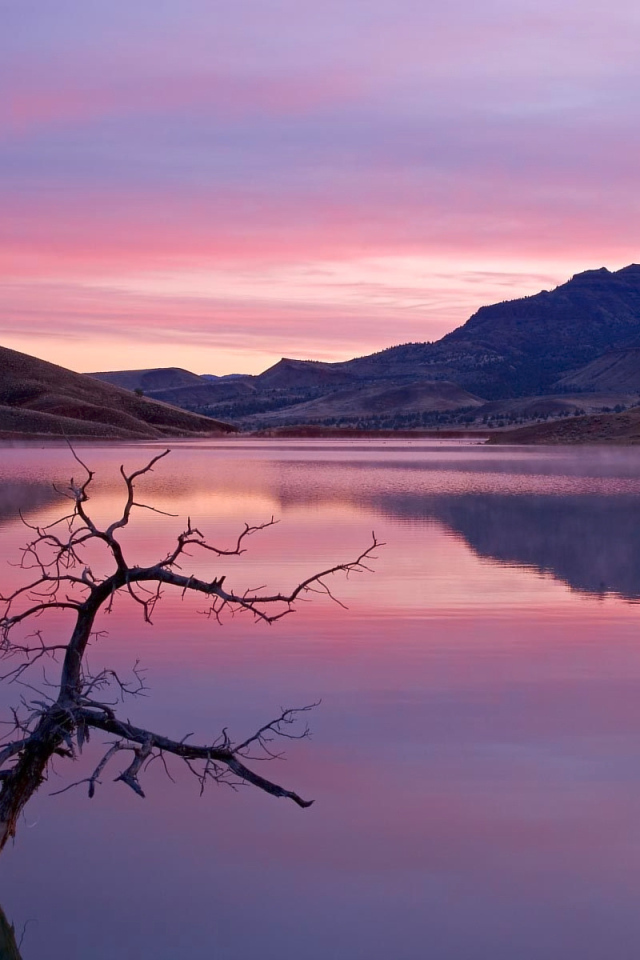 Природа в розовых тонах