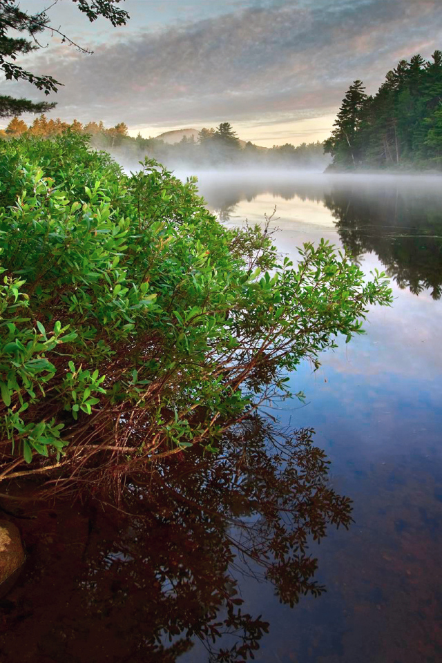Туман над рекой