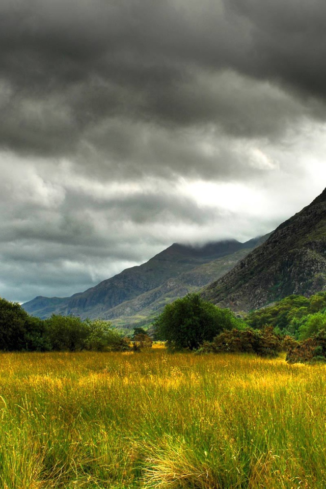 Болото заросшее травой
