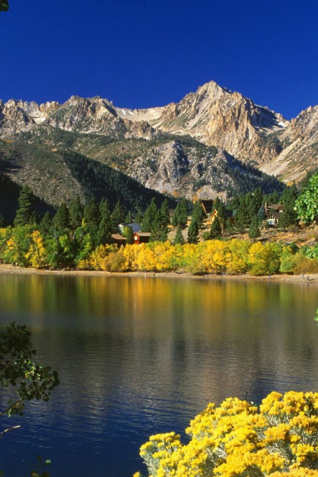 Озеро и деревья