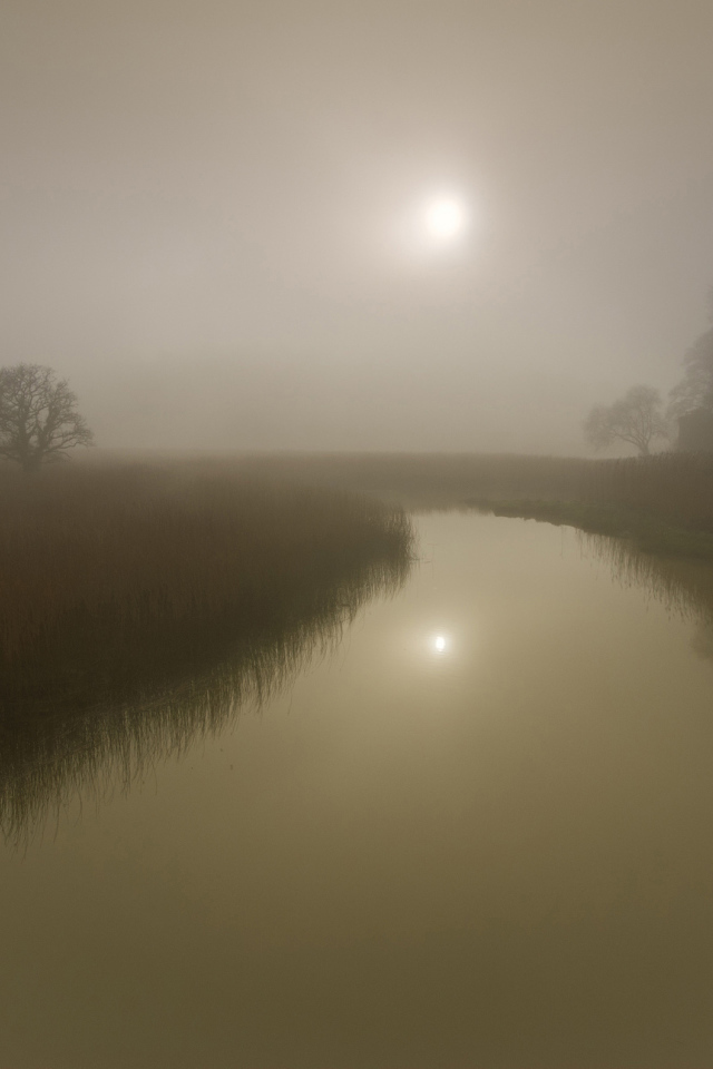 Солнце светит сквозь туман