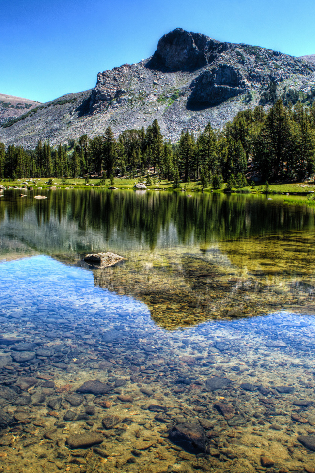 Прозрачная река