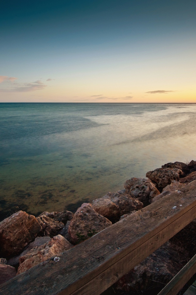 Пляж моллюсков