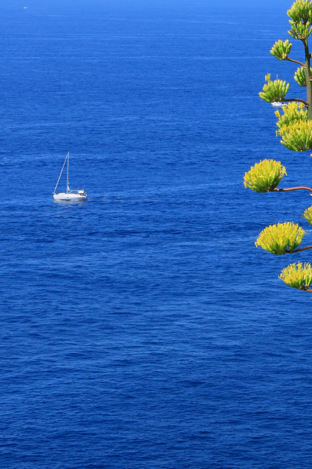 Парусники в море