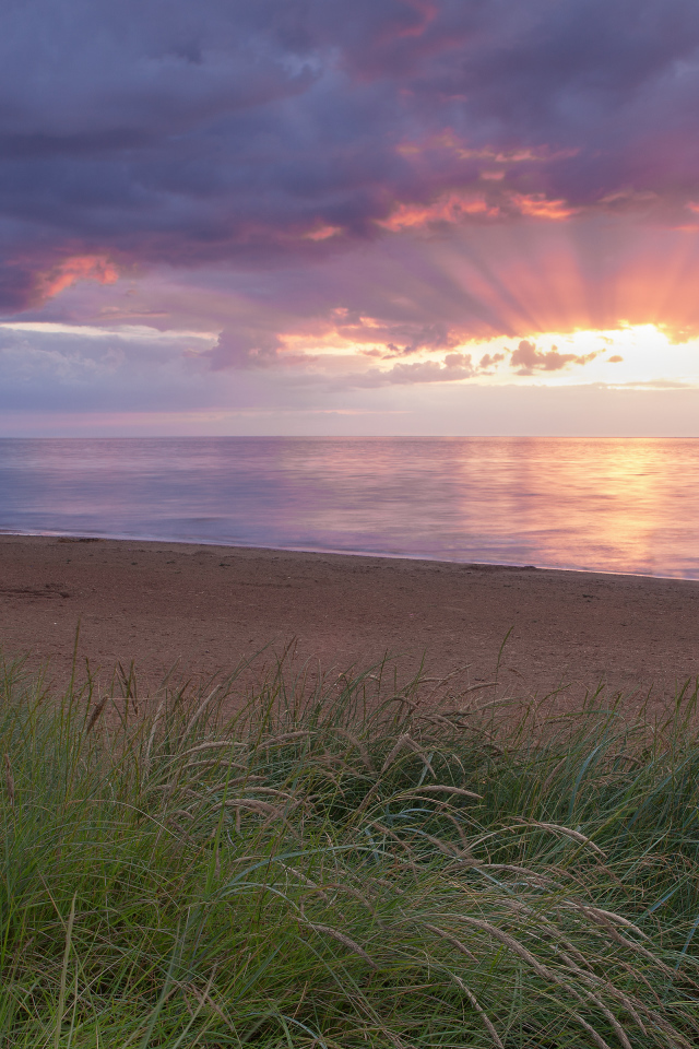 Море и лучи вечернего солнца