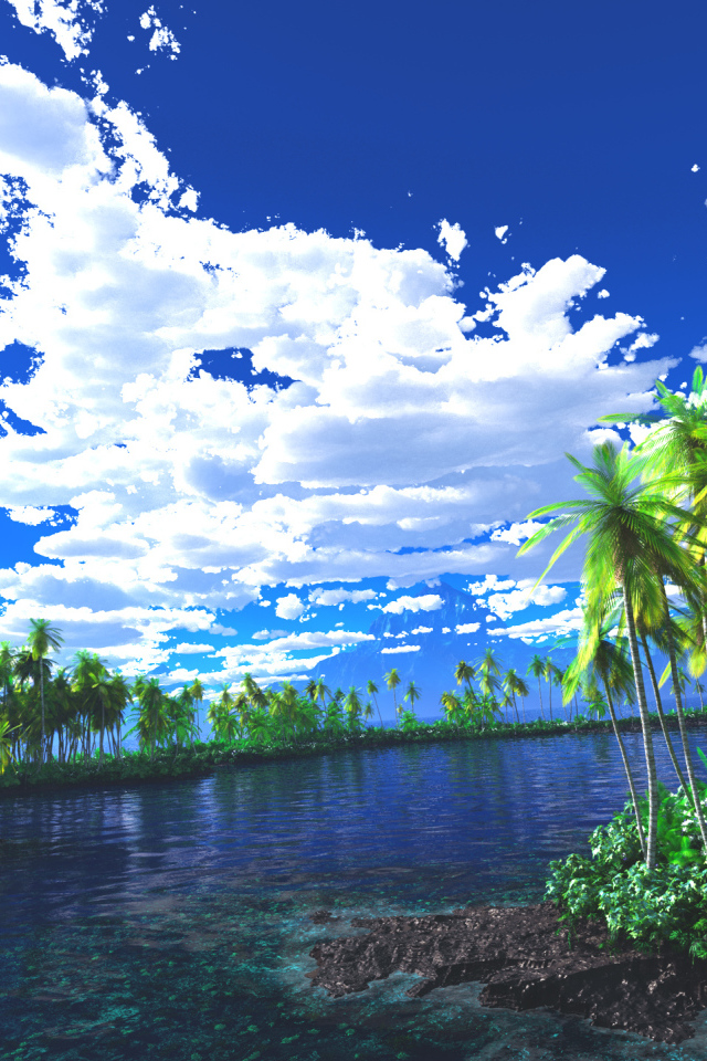 Лагуна заросшая пальмами