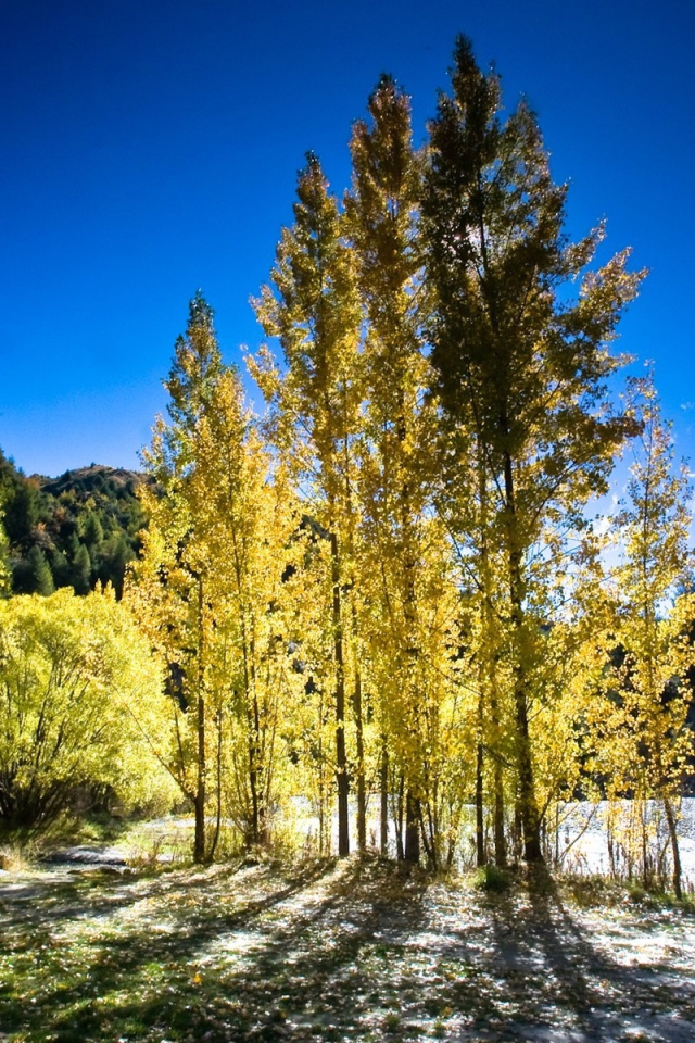 Осень в Новой Зеландии