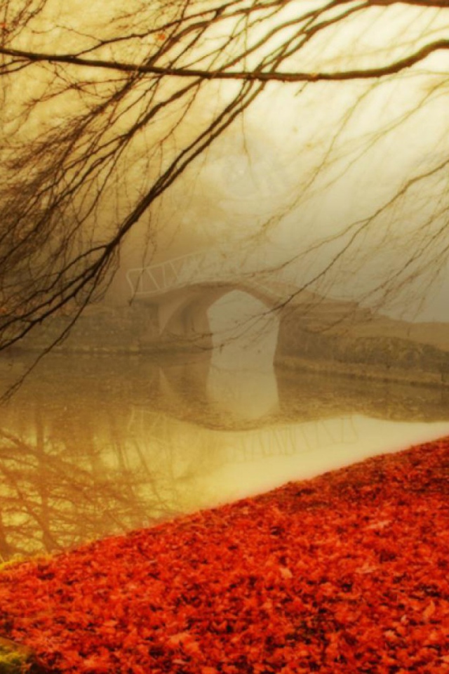 Туман в осеннем парке