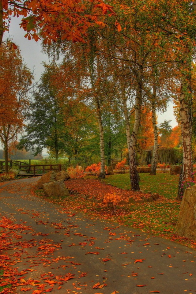 The road on an autumn wood