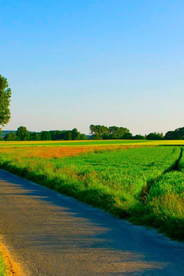 Summer road among manicured fields