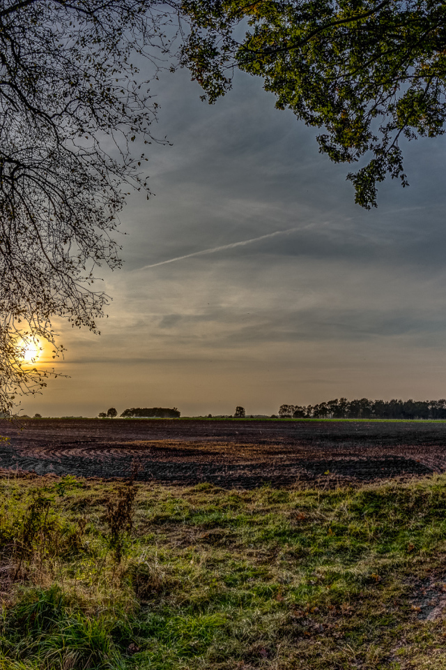 Убранное поле перед закатом