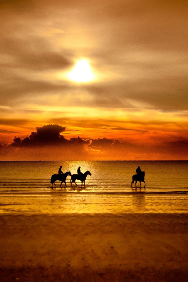 Катание на лошадях по пляжу