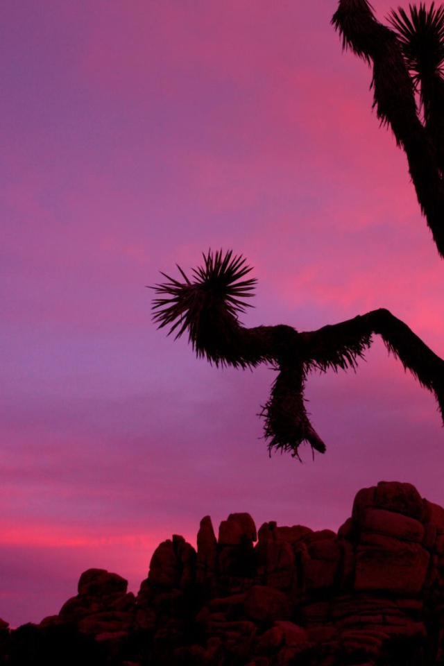 Национальный парк Калифорнии закат солнца