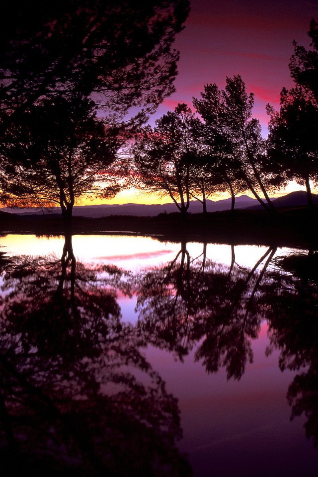 Розовое небо над озером