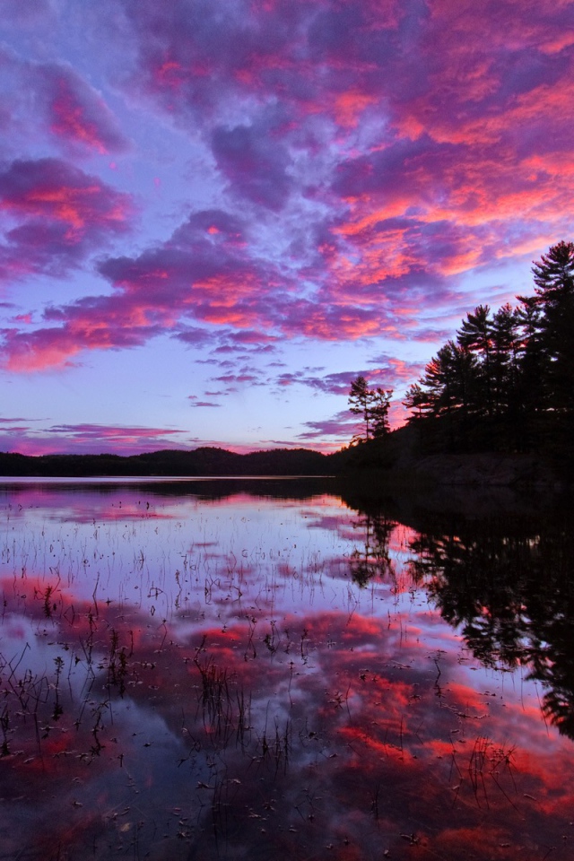 Розовый закат над озером