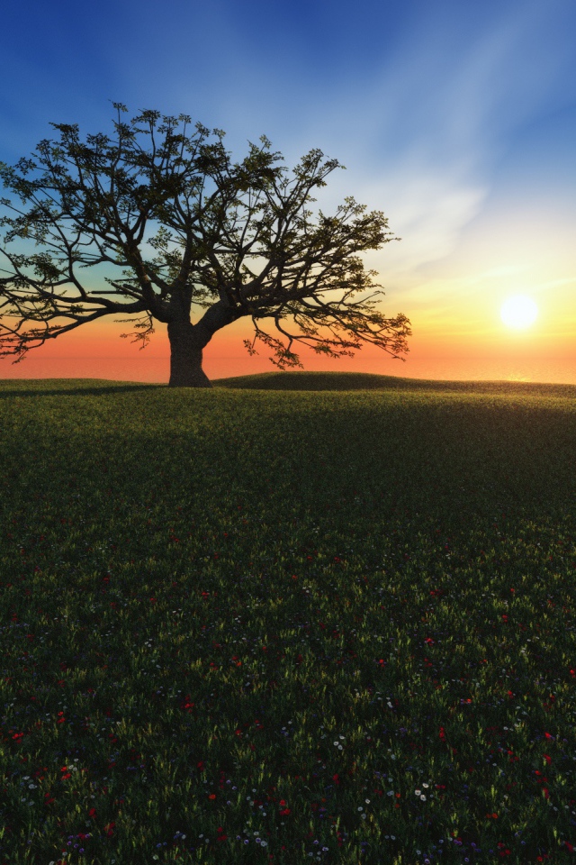 Закат на холме