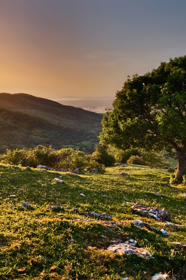 Закат в заповеднике