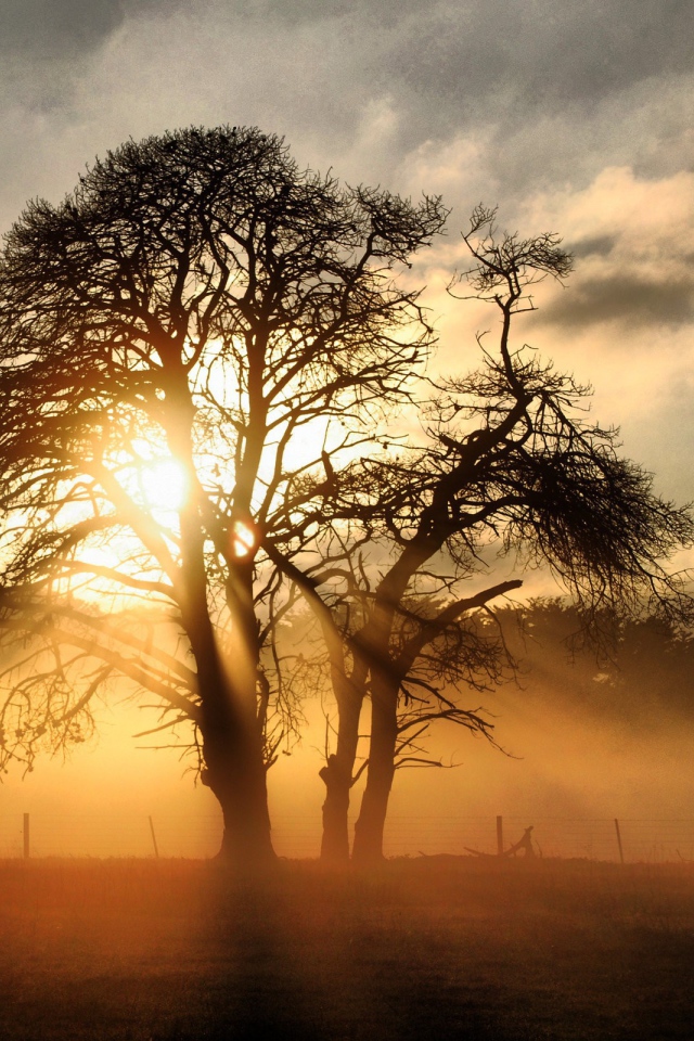 Закат на поле