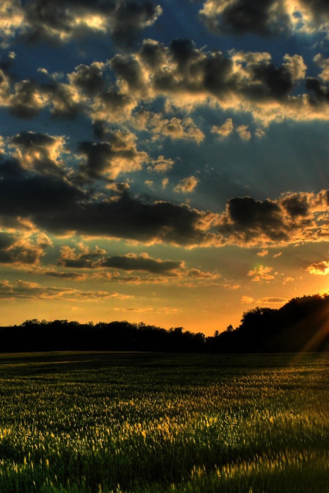 Закат на зеленом поле