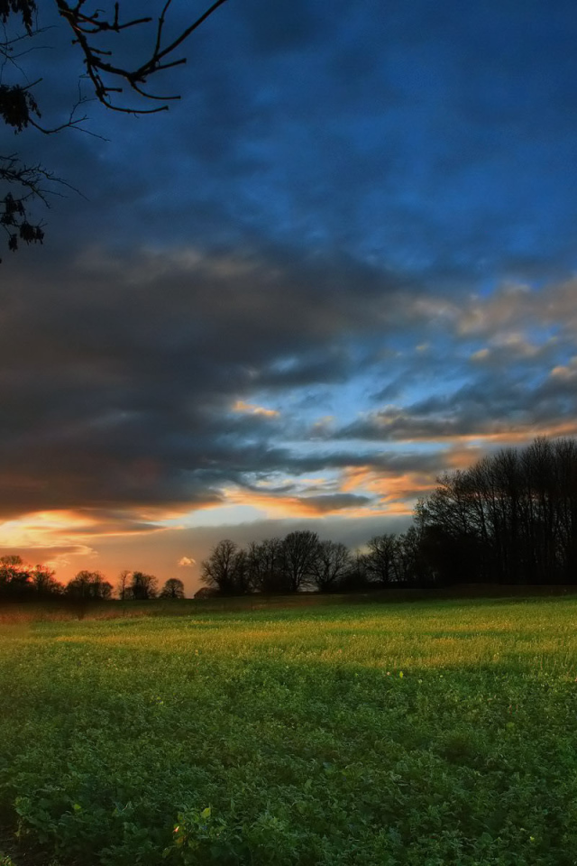 Закат на зеленом поле