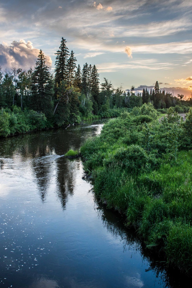 Закат над лесной рекой
