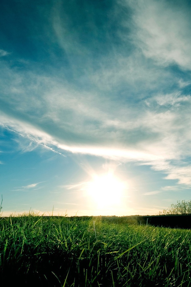 Закат над полем