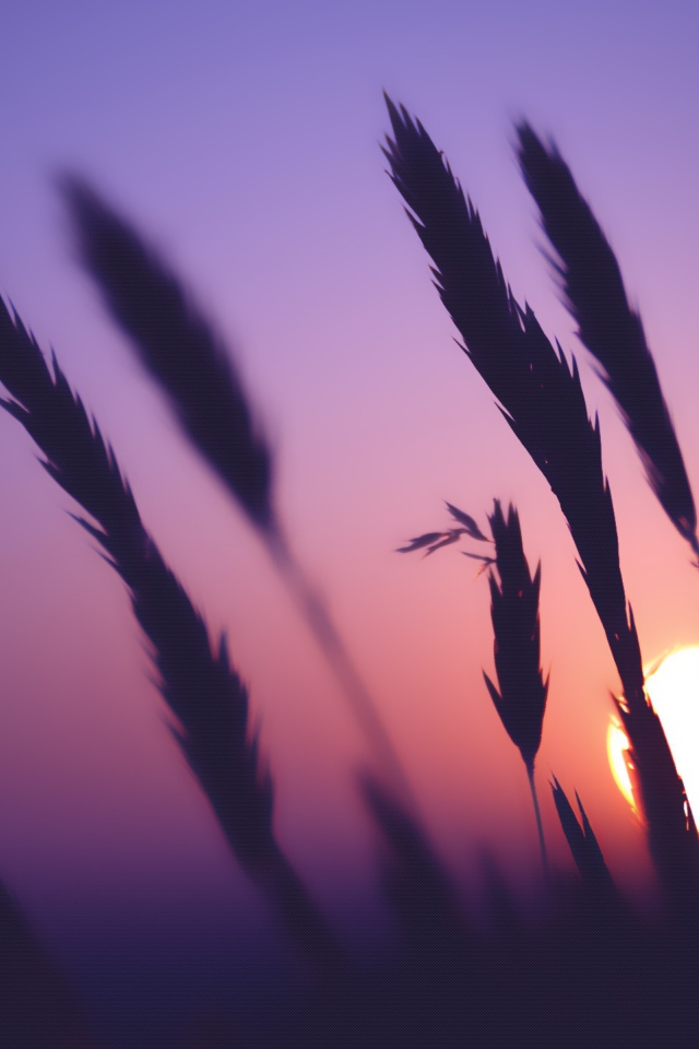 Время заката