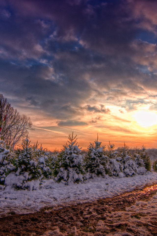 Зимняя дорога в закат