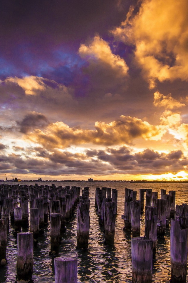 Деревянные сваи в воде