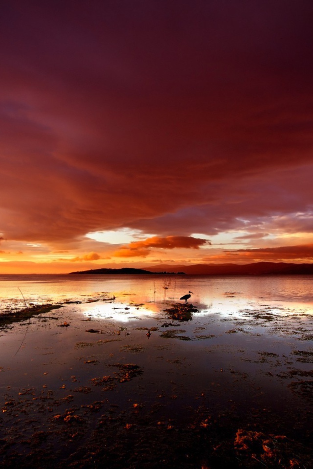 Красные тучи над озером