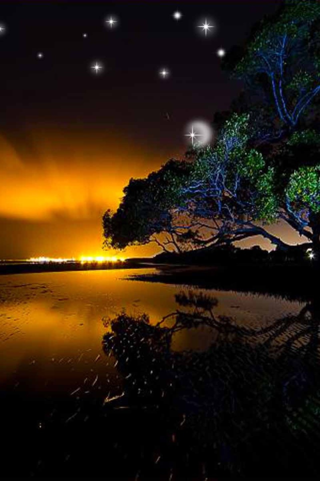 Звезды на ночном небе