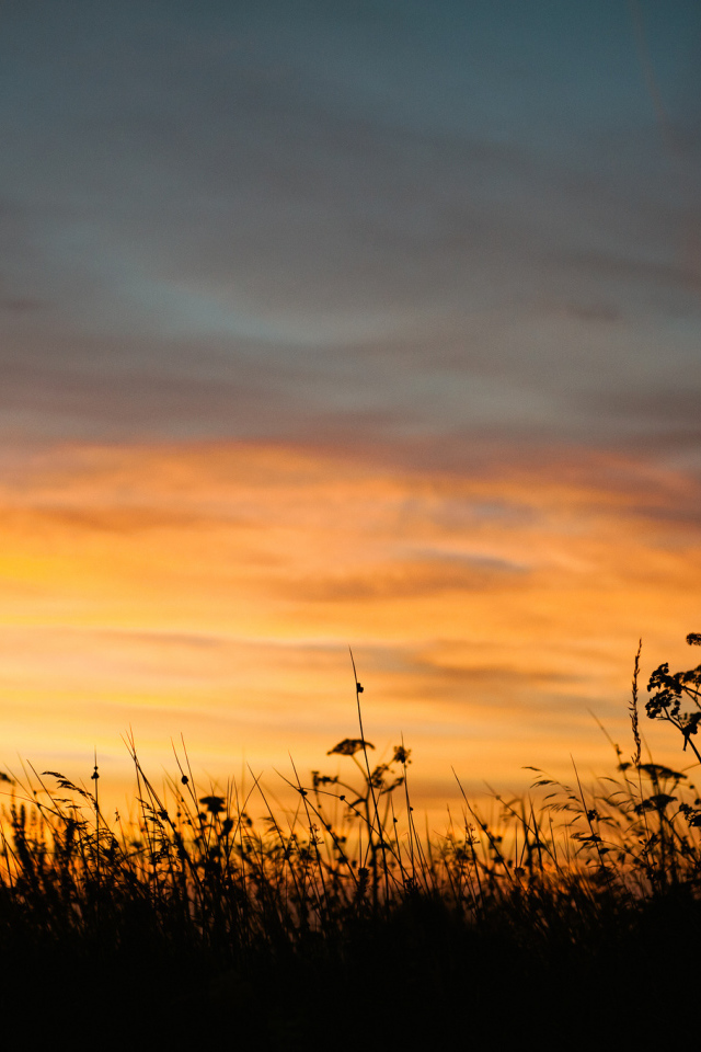 Летний закат