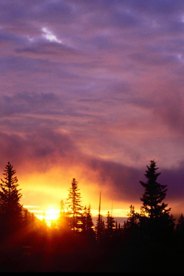 Закат в лесу