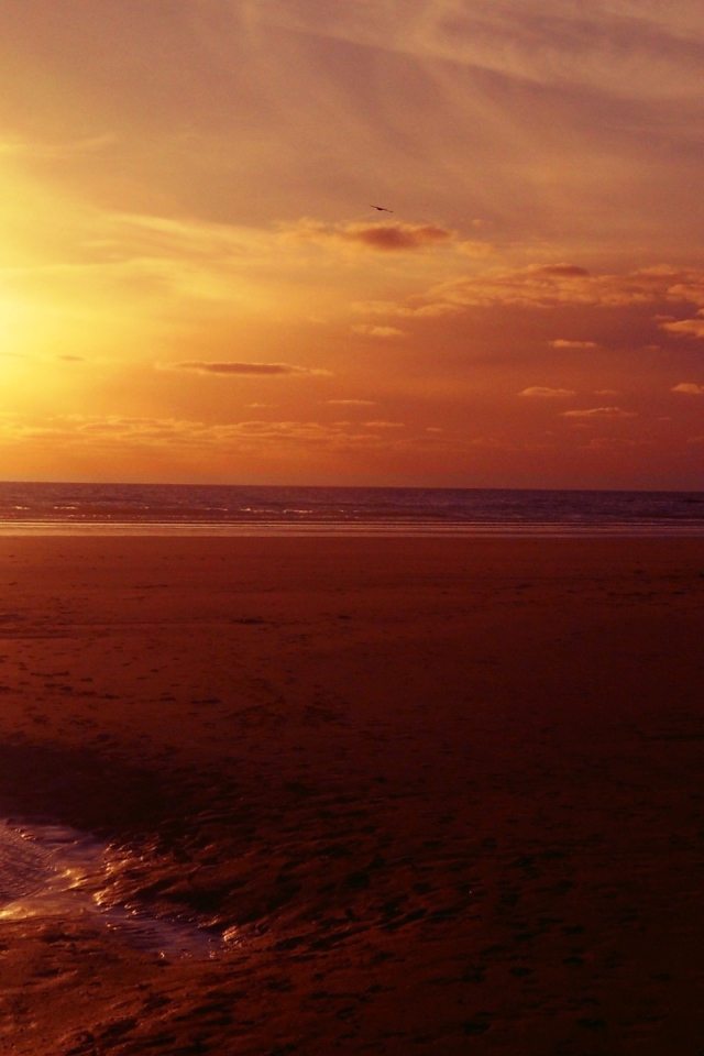	   Sunset on the beach