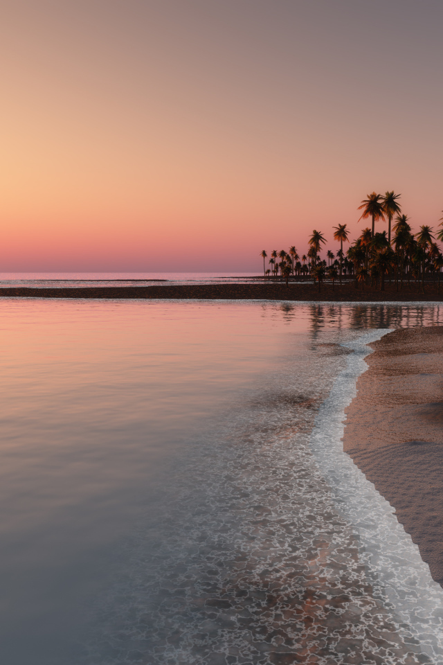 	   Sunset on the tropical coast