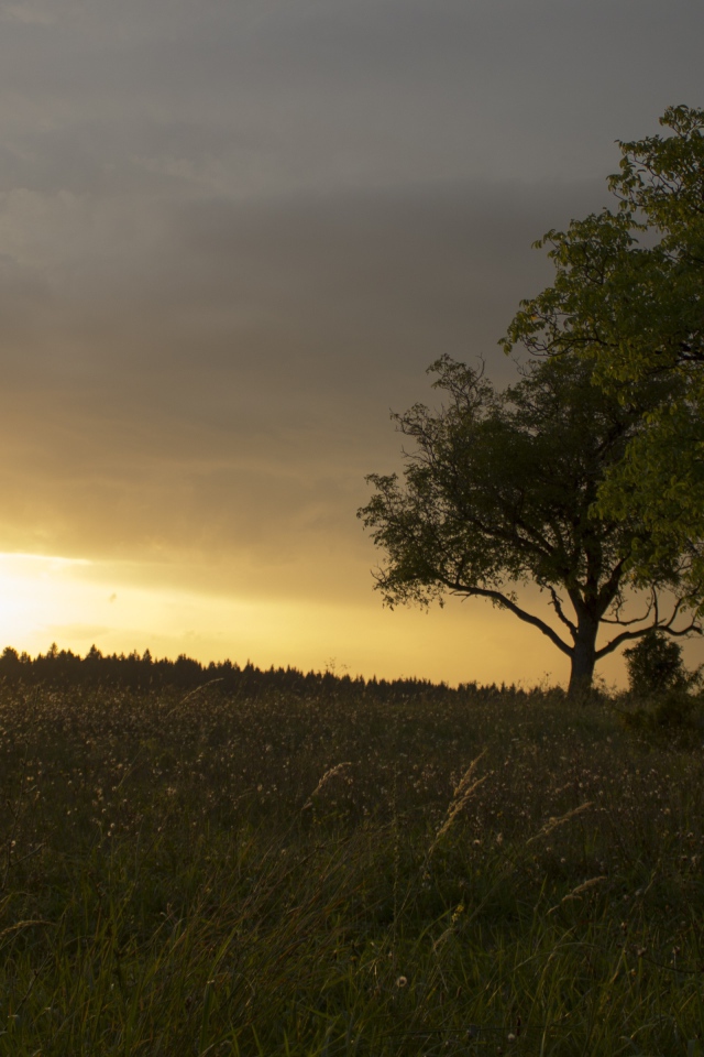 Солнце за черной тучей