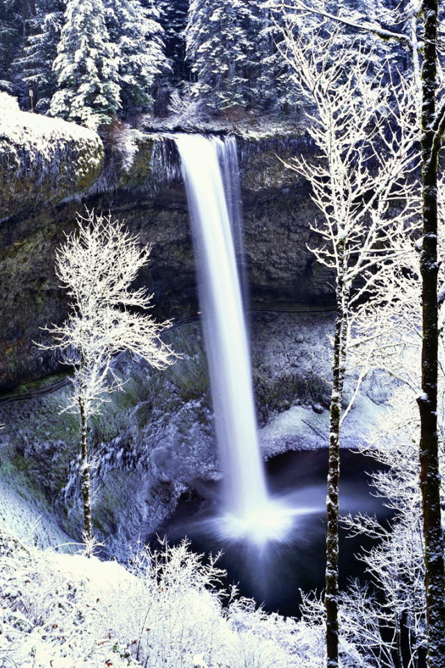 Замерзший водопад в белом лесу