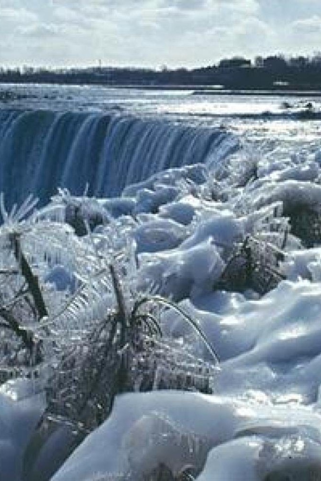 Обледеневшие растения на фоне замерзшего водопада