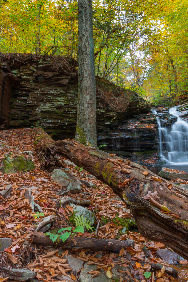 Скалы с водопадом