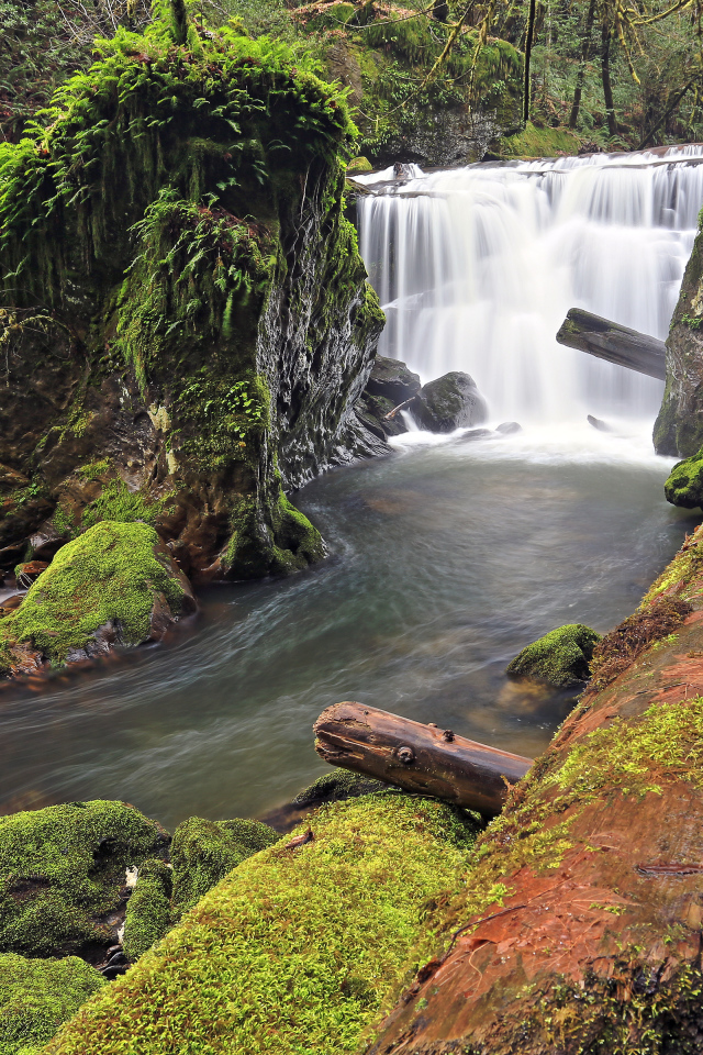 Маленький, красивый водопад в США