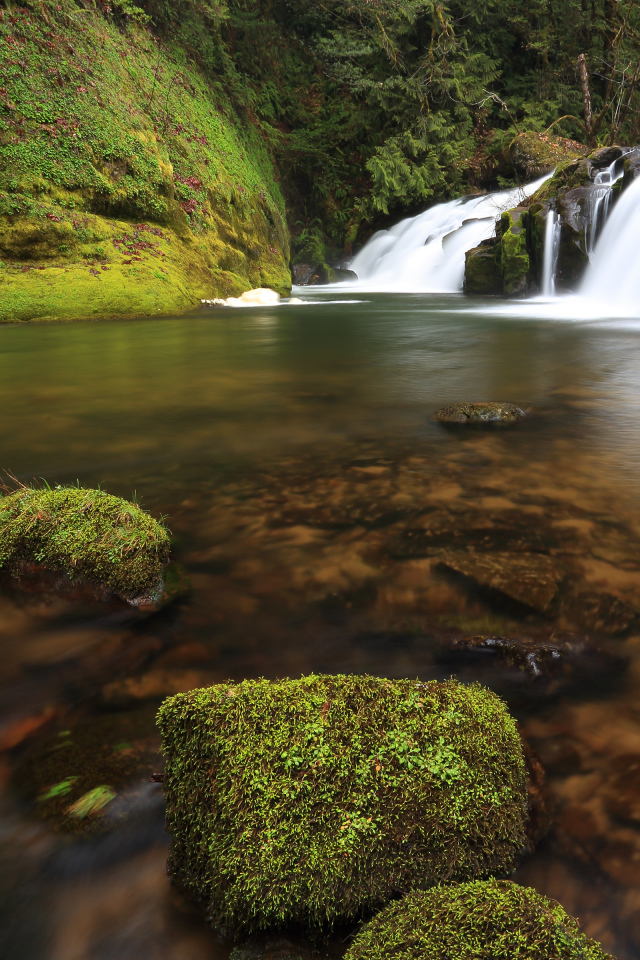 Маленькие водопады в штате Орегон, США