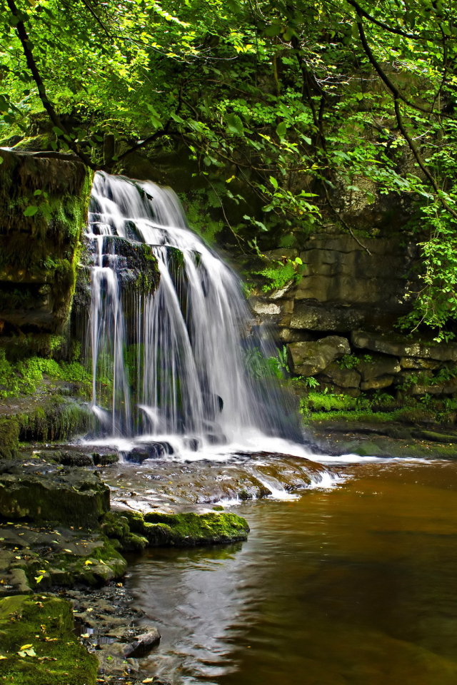Маленький водопад в лесу