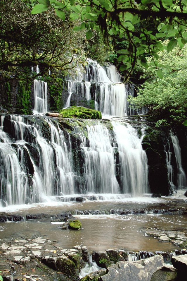 Водопад в густом лесу
