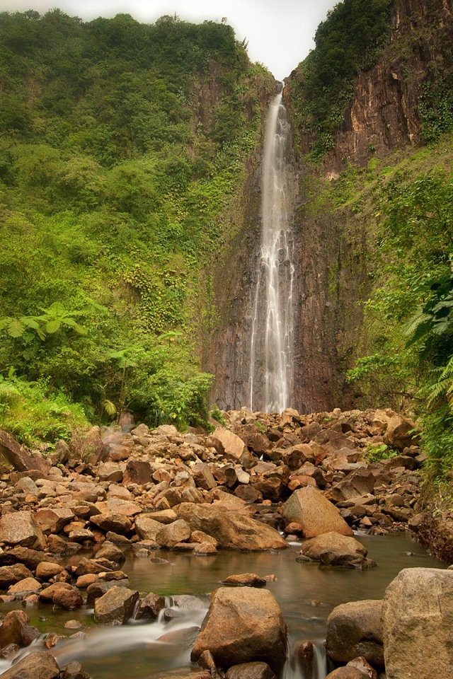Джунгли вокруг водопада
