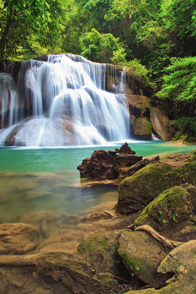 Водопад в густом лесу