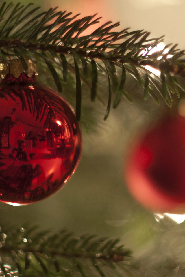 Красный шар на ветке