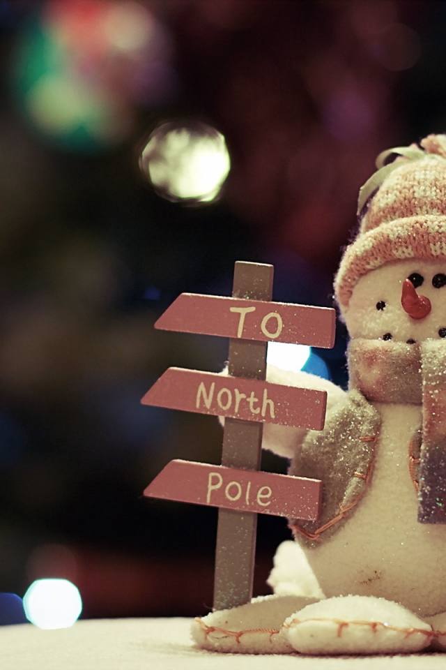 Указатель на Северный полюс