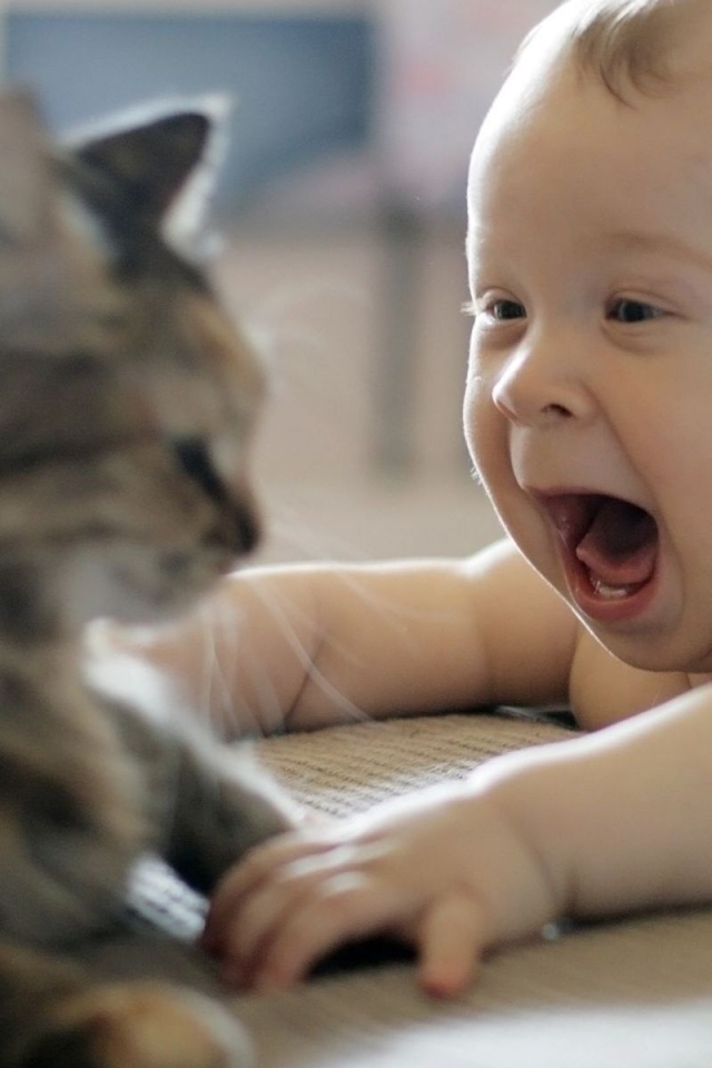 Ребенок играет с котом