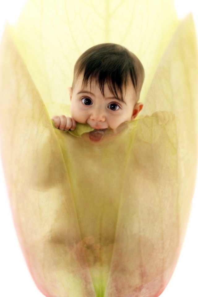 Энн Геддес милый ребенок