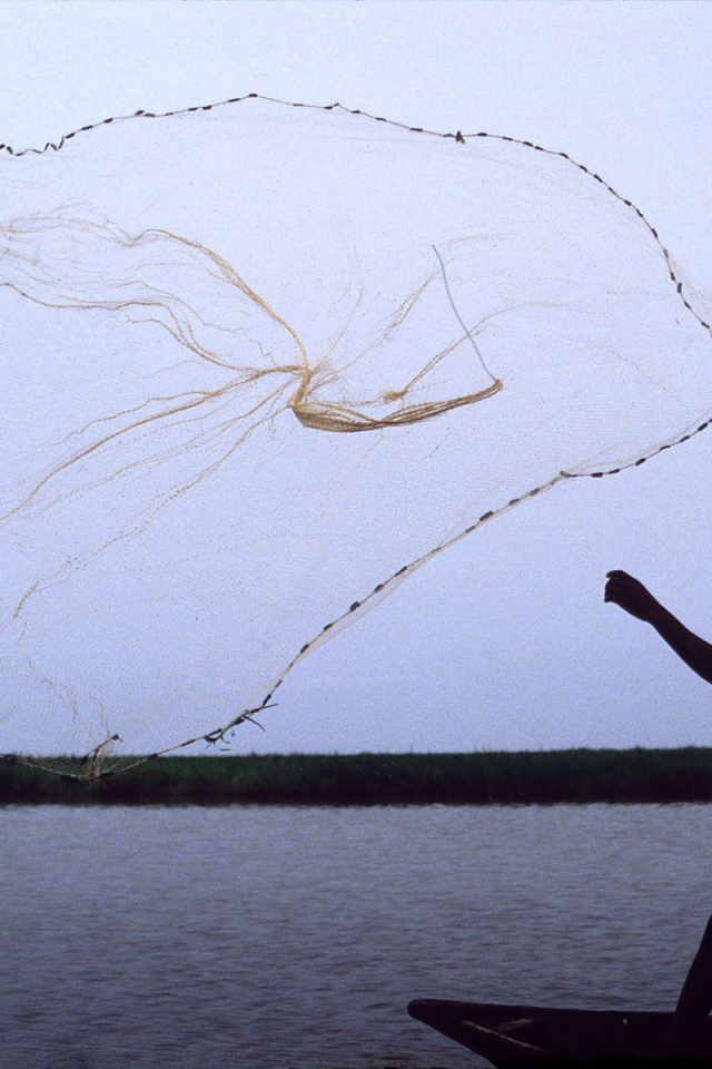 Мальчик забрасывает сеть